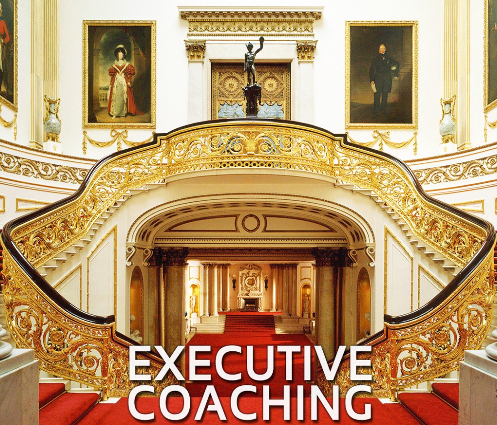 executive-coaching_fixed2 (1)